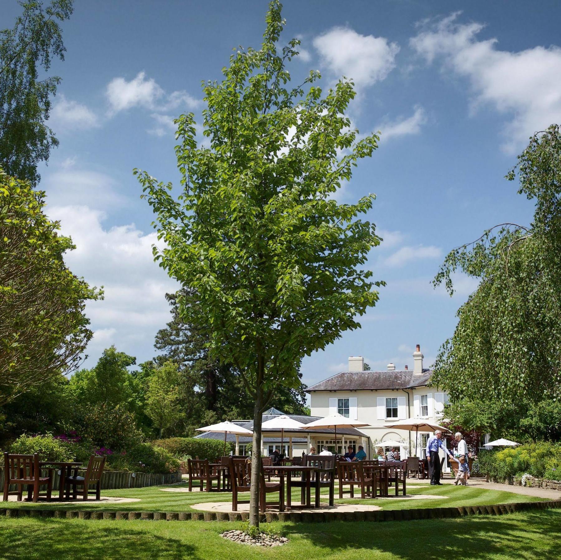 The Vineyard Hotel & Spa Newbury  Buitenkant foto